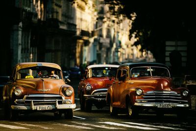 Come with me in the morning light