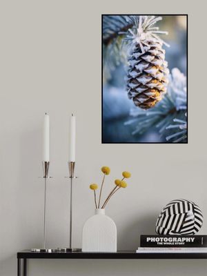 Frosty Pinecone Burst