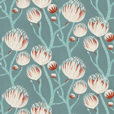 Dreamy Protea Blooms