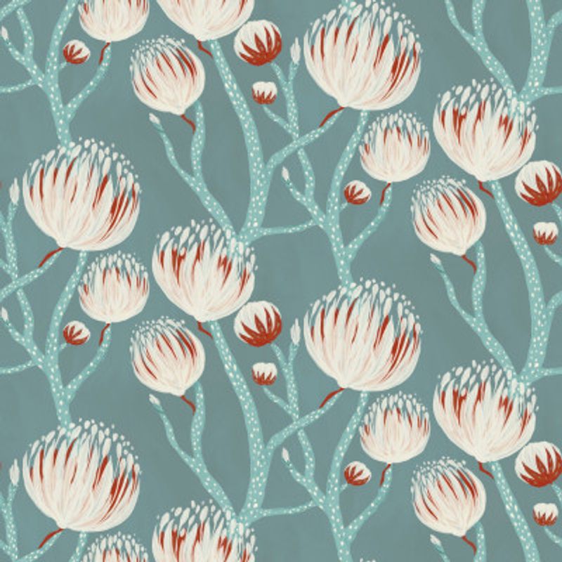 Dreamy Protea Blooms