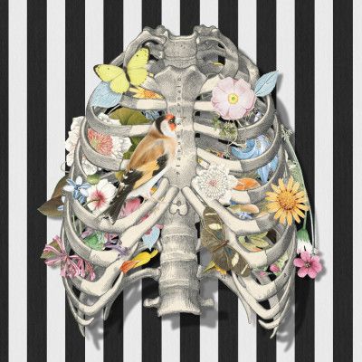 The Nature of Things