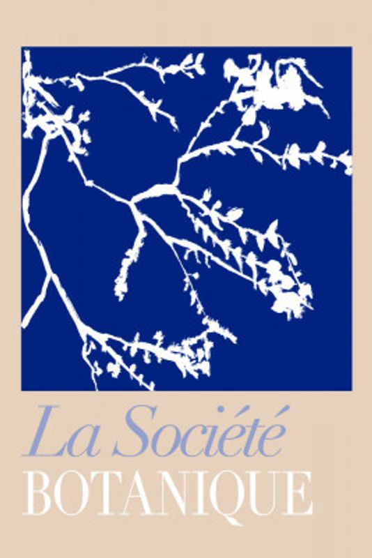 La Société Botanique White Flower 2