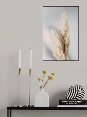 Pampas Grass Grey