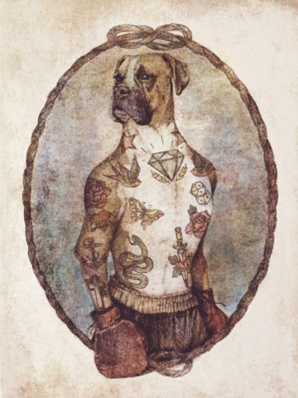Tattooed Boxer Pup