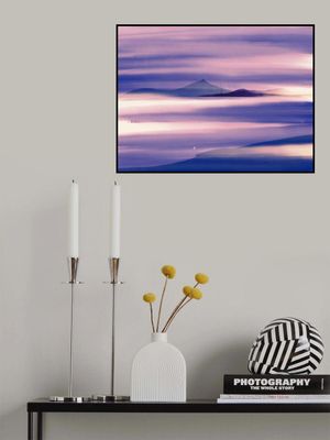 Lone seagull in purple nature