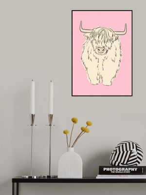 Highland Cow on pink
