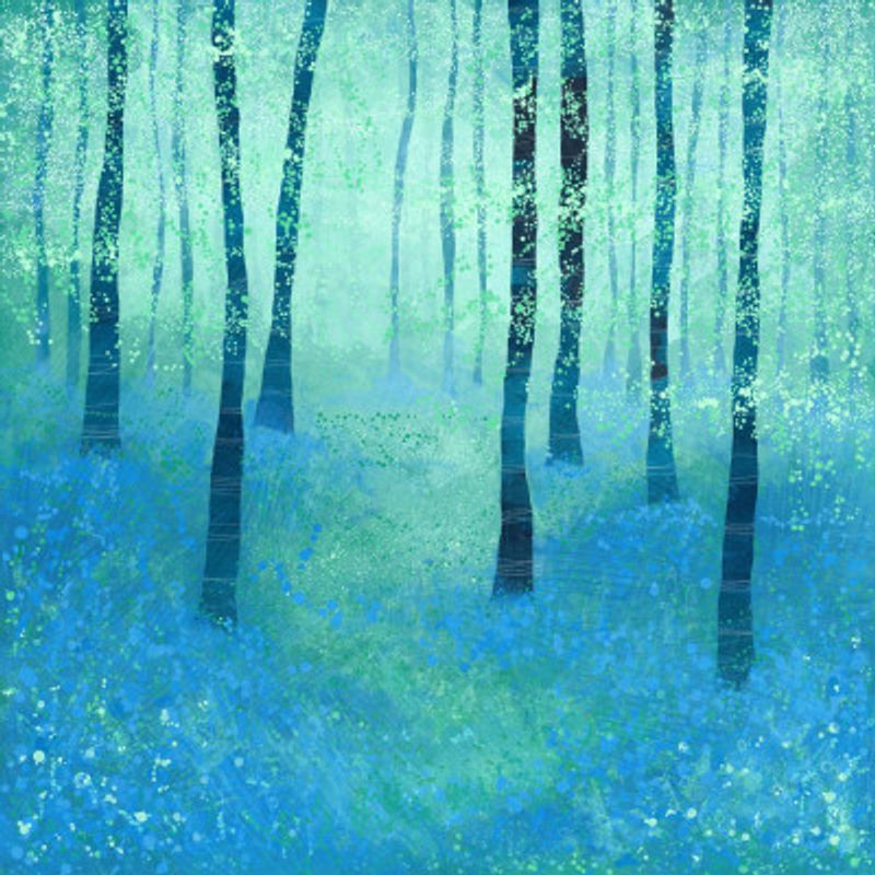 Bluebell Woodland