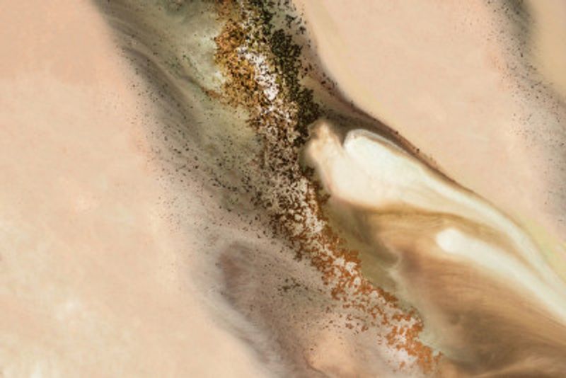 Subtle- Coastal Dunes