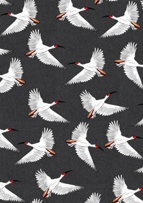 Crested Ibis Pattern