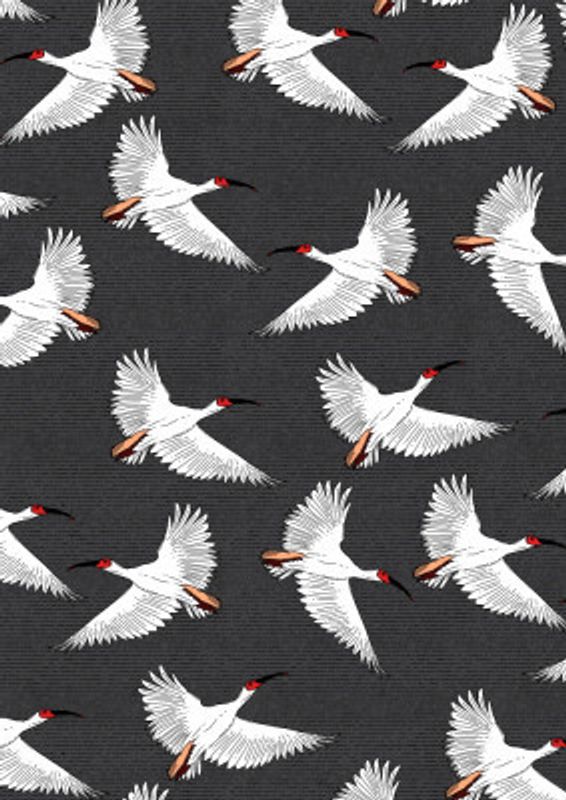 Crested Ibis Pattern