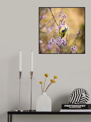 Bird Whispering to the Peach Flower