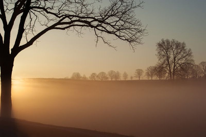 Sunrise in Valley Forge National Park