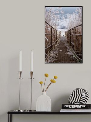 Freezing morning in Dvorniky - Vcelare, Slovakia