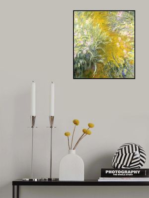 The Path through the Irises