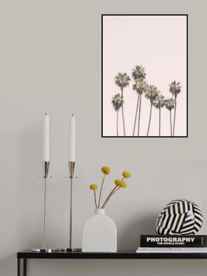 Blush Palms