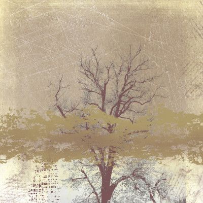 Dreamy landscape in winter