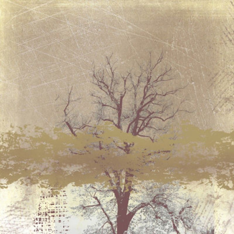 Dreamy landscape in winter