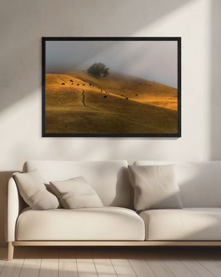 A Summer Morning in TriValley