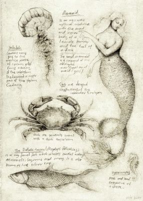 Mythical And Marine Creatures