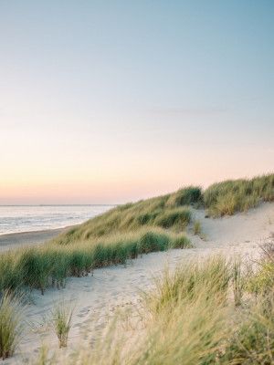 Dutch Dunes