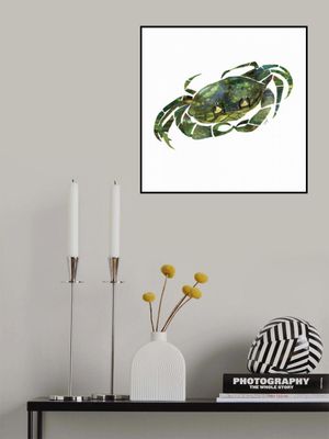 Green Crab