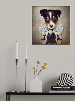 Shelter Pets Project - Loki