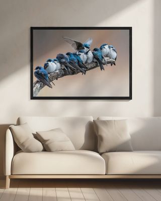 No room? No problem. I will make myself some room.