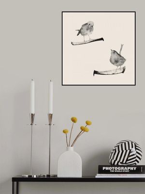 Two Robins On Branches