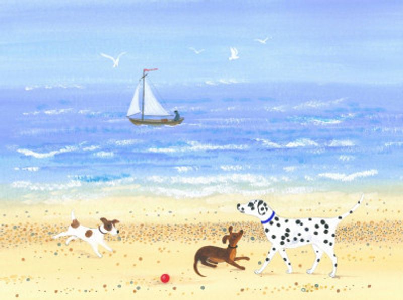 Doggy Plays On the Beach