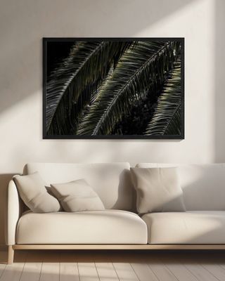 Lush Palm Fronds