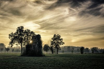 Old abandoned house covered by vegetation at sunset