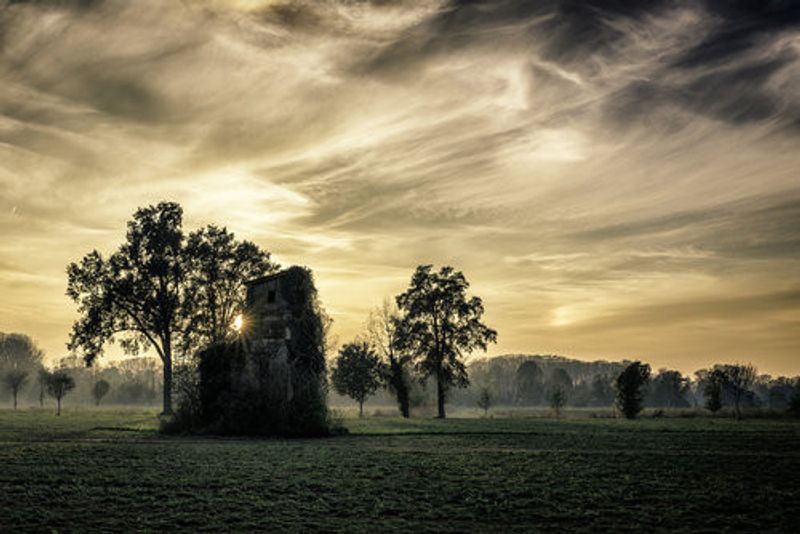 Old abandoned house covered by vegetation at sunset