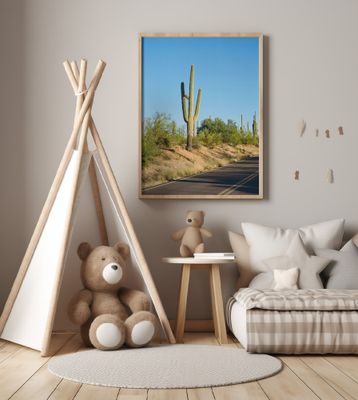 Saguaro National Park VI on Film