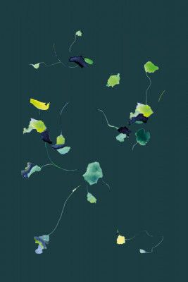 Fragile Fragments 03