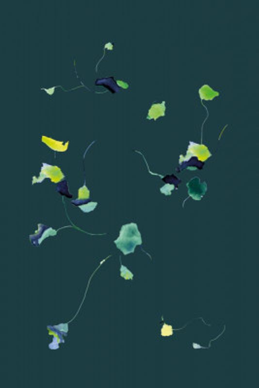 Fragile Fragments 03