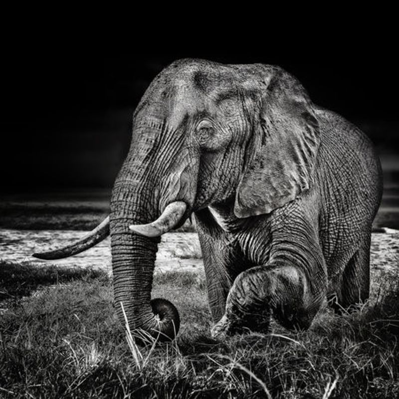 sunset at the waterhole