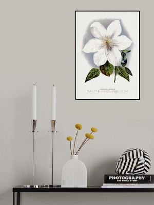 Clematis Flower Lithograph