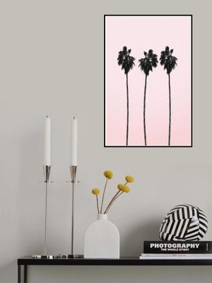 Three Tall Palms