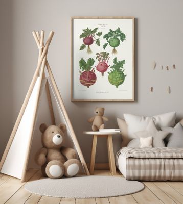 Kohl Rabi, or Turnip Rooted Cabbage From Album Benary (1876 1886) By Ernst Benary