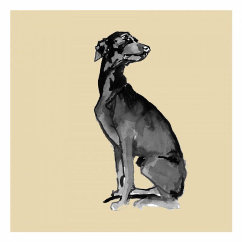 A Very Modern Dog No7