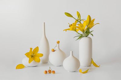 Blooming Lily and Sweet Cherry