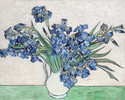 Vincent Van Gogh's Irises (1890).