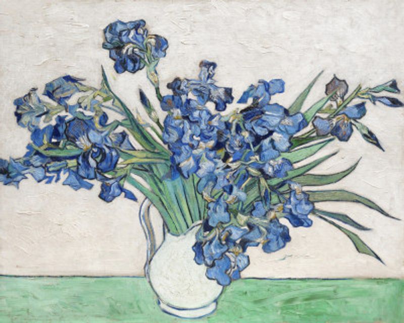 Vincent Van Gogh's Irises (1890).