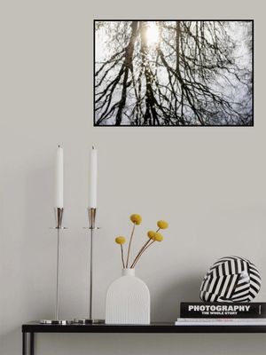 Winter Reflections 3