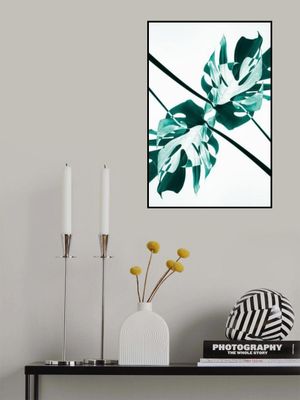 Monstera Kaleidoscope 08