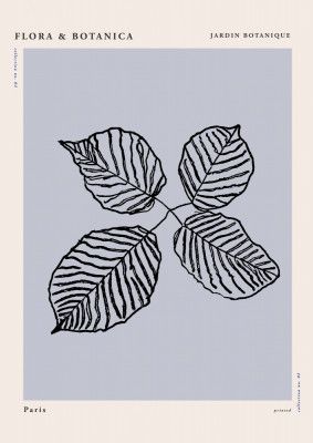 Florabotanicalineno06