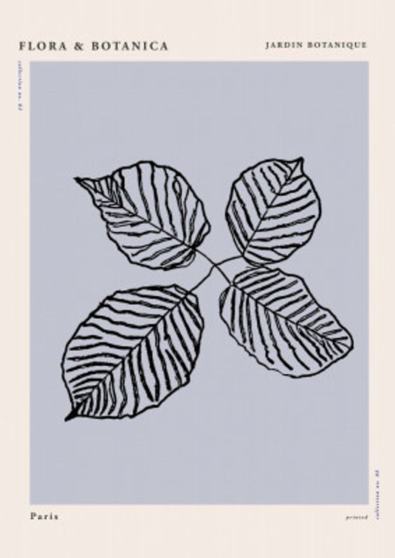 Florabotanicalineno06