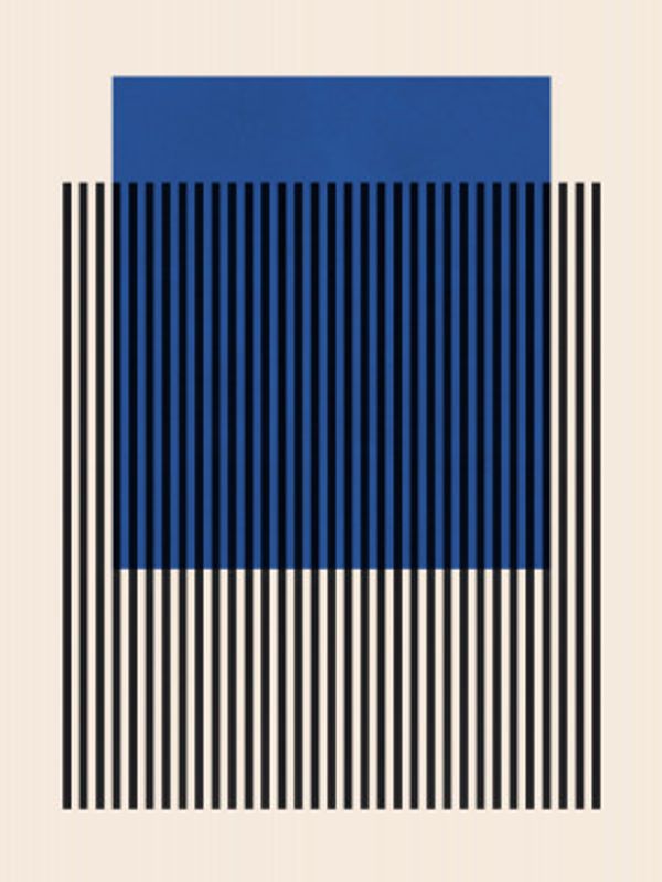 Vertical Black Stripes