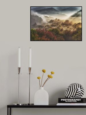 mysticall autumn morning (secret garden)