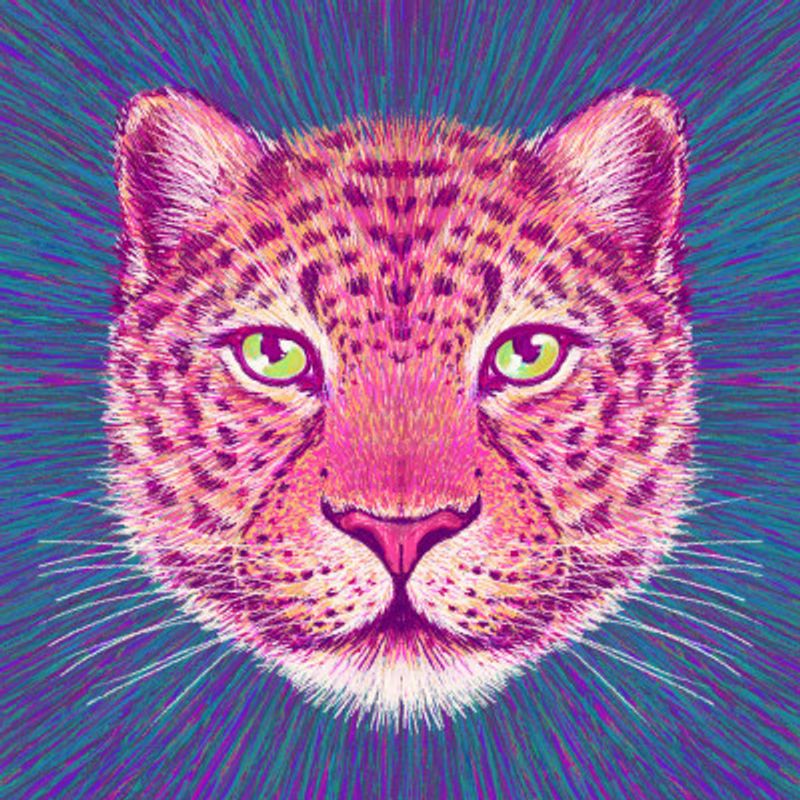 Animal Face   Leopard